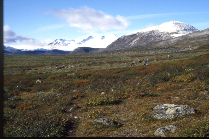 JR_1985_000390029_0007_Ruotesvagge