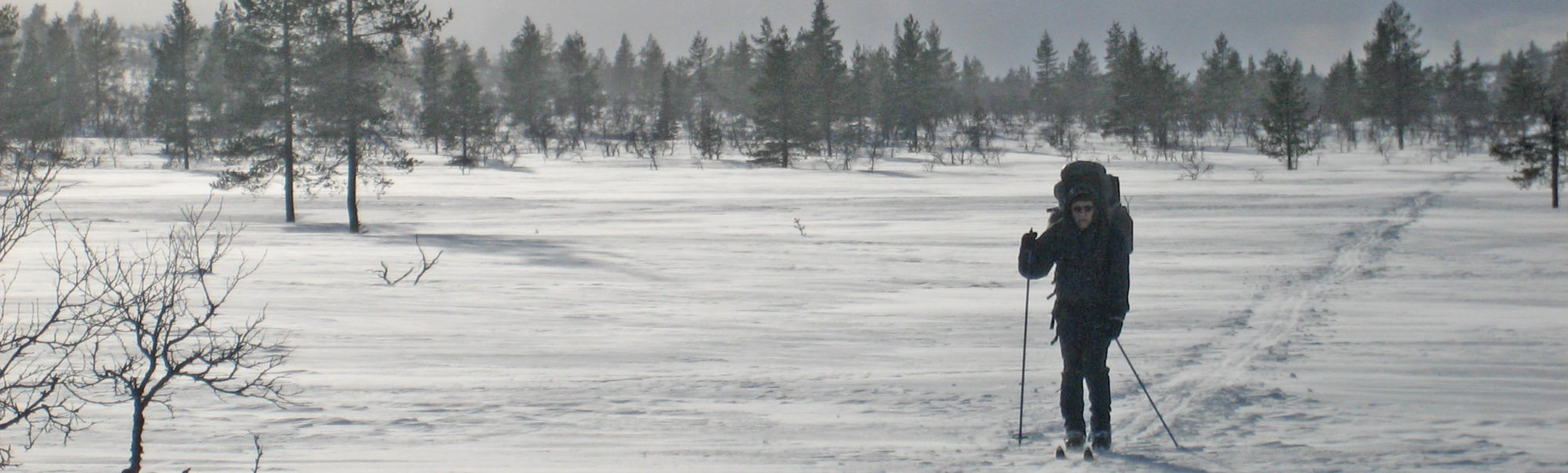 Korvatunturin Saunaseura